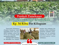 BEP Tembakau Pamekasan Tahun 2022 Tembus Rp. 54 Ribu Per Kilogram