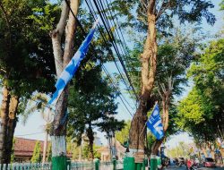 Satpol PP Biarkan Bendera PAN Dipaku ke Pohon Sepanjang Jalan Pamekasan