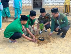 Refleksi Harlah ke-90, Ansor Palengaan Daja Pamekasan Tanam 50 Pohon