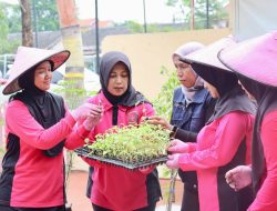 Bhayangkari Pamekasan Sulap Lahan Kosong Jadi Kebun Sayur, Ny. Maya Hendra: Ini Upaya Mendukung Ketahanan Pangan