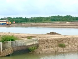 Bermodal SHM, Hutan Mangrove Perhutani di Majungan Pamekasan Diporak-poranda Jadi Tambak 