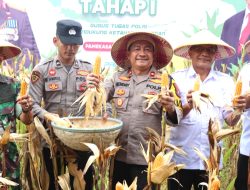 Polisi Bersama Petani di Pamekasan Panen Raya Jagung