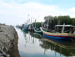 Polisi Bidik Calon Tersangka Perusak Hutan Mangrove di Pesisir Jumiang Pamekasan
