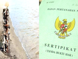 Soal Polemik 5 SHM di Pesisir Majungan Pamekasan, PT. Budiono Akui Hasil Beli Tanah Yasan 