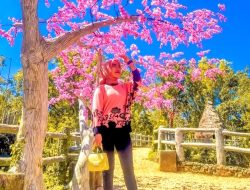 10 Keindahan Wisata di Pamekasan Jadi Daya Tarik dan Potensi Ekonomi