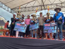 Ini 6 Jawara Karapan Sapi Pamekasan yang Tembus Piala Presiden 2025, Tiket Istimewa Dua Putri Kedaton