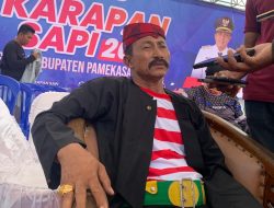Jelang Karapan Sapi Piala Presiden 2025, Pakar Sakera: Wakil Pamekasan Siap Bicara Banyak di Lapangan