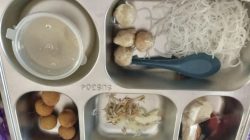 Bakso Dipaksakan Jadi Menu MBG untuk Siswa di Pamekasan