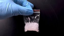 Ini Identitas DPO Pengedar Sabu di Proppo Pamekasan yang Diringkus Polisi